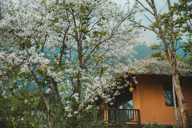 Hòa Bình có resort 5 sao hàng đầu châu Á: Giá từ 7 triệu đồng/đêm, nằm biệt lập giữa núi rừng nguyên sinh, từng nhận giải Oscar ngành du lịch - Ảnh 3.
