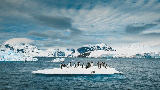 Sông băng Doomsday ở Nam Cực tan nhanh nhất trong 5.500 năm, lời cảnh báo biến đổi khí hậu đe dọa thảm họa nước biển dâng - Ảnh 1.