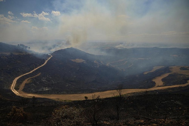 Tây Ban Nha chứng kiến cháy rừng tồi tệ nhất trong lịch sử - Ảnh 2.