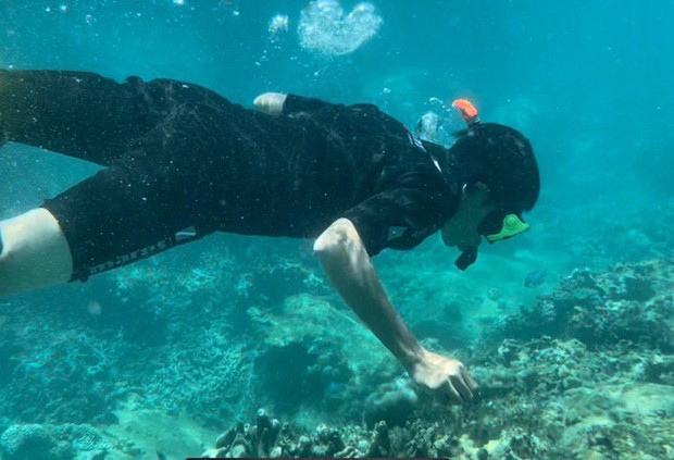 Những rạn san hô tuyệt đẹp ở các vùng biển Việt Nam đứng trước nguy cơ suy giảm hàng loạt, nhiều nơi đã phải lên kế hoạch để giải cứu - Ảnh 7.