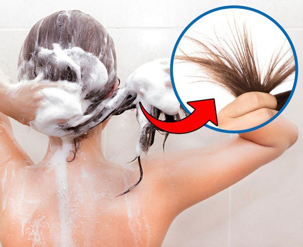 8 sai lầm khi chăm sóc khiến tóc cứ gãy rụng suốt, 90% chị em đều mắc phải - Ảnh 4. 8 sai lầm khi chăm sóc khiến tóc cứ gãy rụng suốt, 90% chị em đều mắc phải - Ảnh 4.