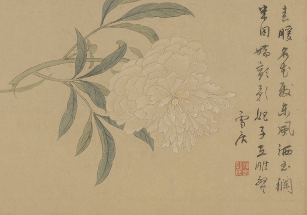 Hoa nở trong Cố cung - Thược dược: Loài hoa tháng Năm hiện lên đầy tinh tế trong tranh cổ Trung Quốc - Ảnh 6.