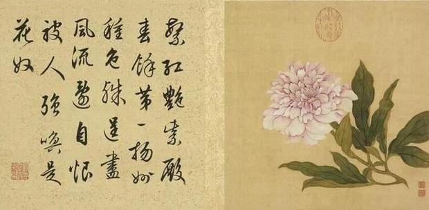Hoa nở trong Cố cung - Thược dược: Loài hoa tháng Năm hiện lên đầy tinh tế trong tranh cổ Trung Quốc - Ảnh 8.