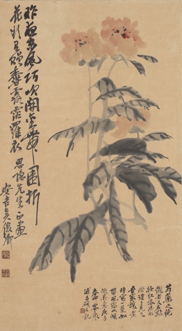 Hoa nở trong Cố cung - Thược dược: Loài hoa tháng Năm hiện lên đầy tinh tế trong tranh cổ Trung Quốc - Ảnh 10.