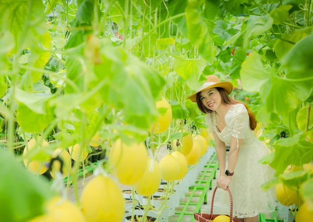 Mê trồng trọt, nữ giám đốc chịu chơi bê luôn vườn 250m2 lên sân thượng, bội thu rau trái - Ảnh 4.