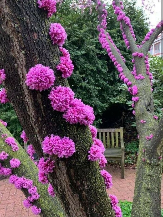 16 hình ảnh thiên nhiên mãn nhãn, chứng minh trái đất luôn ẩn chứa nhiều điều bất ngờ Magnificent-creepy-miracles-from-natural-world-14-6294858cac78d700-1654348019199879763465