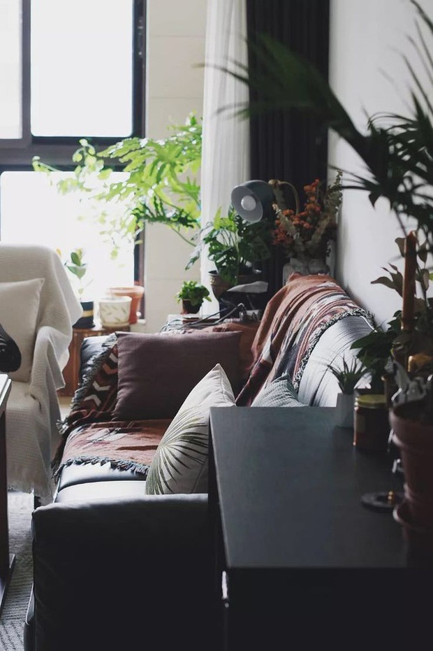 The young girl boldly renovates herself, turning the apartment into a fresh garden - Photo 21. The young girl boldly renovates herself, turning the apartment into a fresh garden - Photo 21.