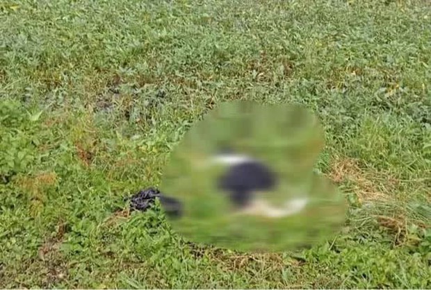 Nguyên nhân nam công nhân tử vong bất thường cạnh Quốc lộ 1 - Ảnh 1. Nguyên nhân nam công nhân tử vong bất thường cạnh Quốc lộ 1 - Ảnh 1.