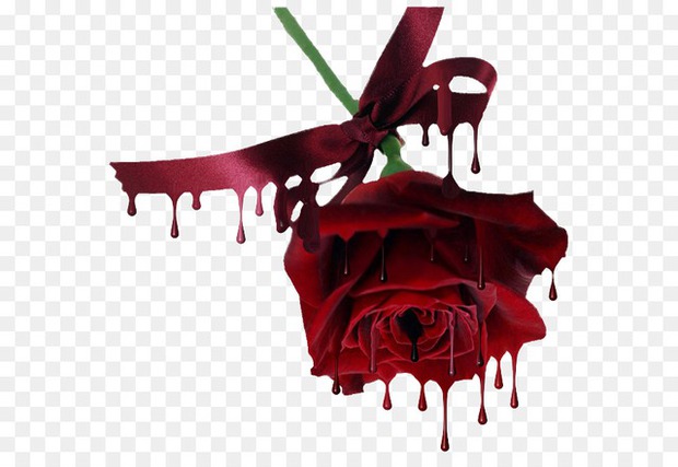Sự lãng mạn tàn nhẫn của kẻ cuồng yêu khi trang trí 99 bông hồng bên thi thể người tình - Ảnh 1.