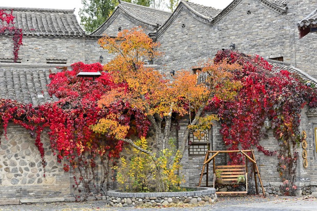 Ghé thăm “Venice phương Đông”: Thị trấn mất hơn 10.000 tỷ để xây dựng, cảnh đẹp đến nao lòng trong từng chi tiết - Ảnh 9.