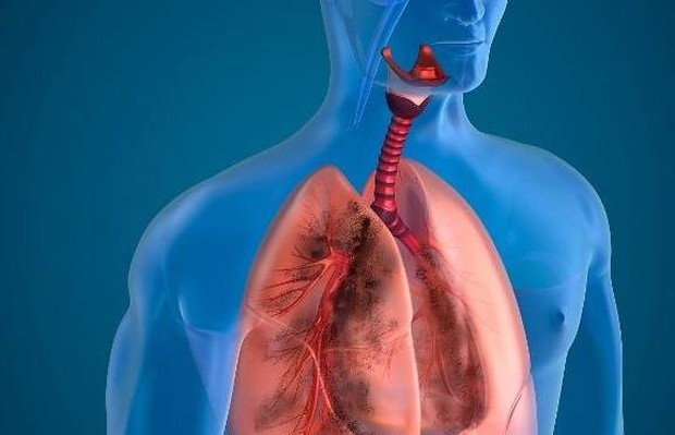 3 thực phẩm này là chất tẩy rửa phổi, chăm ăn thì chất độc trong cơ thể cũng ít đi - Ảnh 2.