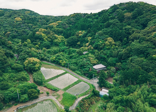 Du lịch kiểu mới mà cũ ở Nhật: Đi trốn trong những ngôi nhà cổ gần gũi thiên nhiên, náu mình khỏi đô thị xô bồ - Ảnh 7.