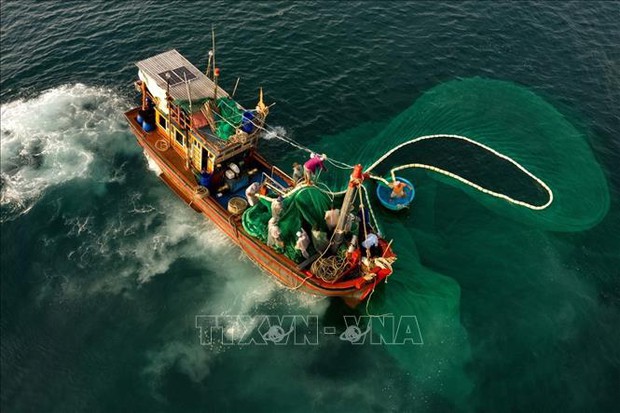Ngắm những khoảnh khắc đẹp nghề lưới vây cá cơm ở Phú Yên - Ảnh 1.