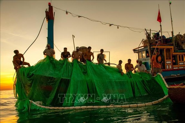 Ngắm những khoảnh khắc đẹp nghề lưới vây cá cơm ở Phú Yên - Ảnh 2.