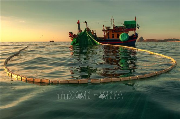 Ngắm những khoảnh khắc đẹp nghề lưới vây cá cơm ở Phú Yên - Ảnh 3.