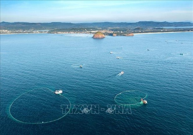 Ngắm những khoảnh khắc đẹp nghề lưới vây cá cơm ở Phú Yên - Ảnh 7.
