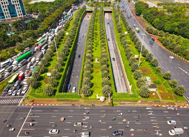 Cận cảnh bức tường xanh hiếm có giữa hầm chui ở Hà Nội giúp người dân giải nhiệt ngày nắng nóng - Ảnh 1. Cận cảnh bức tường xanh hiếm có giữa hầm chui ở Hà Nội giúp người dân giải nhiệt ngày nắng nóng - Ảnh 1.
