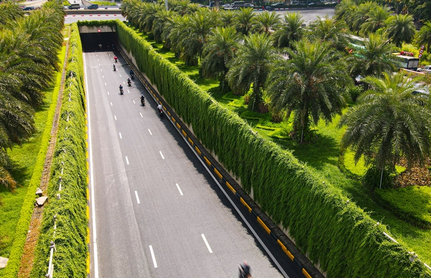Cận cảnh bức tường xanh hiếm có giữa hầm chui ở Hà Nội giúp người dân giải nhiệt ngày nắng nóng - Ảnh 3. Cận cảnh bức tường xanh hiếm có giữa hầm chui ở Hà Nội giúp người dân giải nhiệt ngày nắng nóng - Ảnh 3.