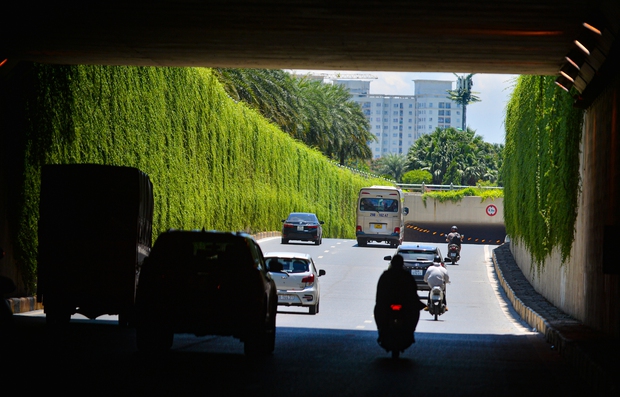 Cận cảnh bức tường xanh hiếm có giữa hầm chui ở Hà Nội giúp người dân giải nhiệt ngày nắng nóng - Ảnh 6.