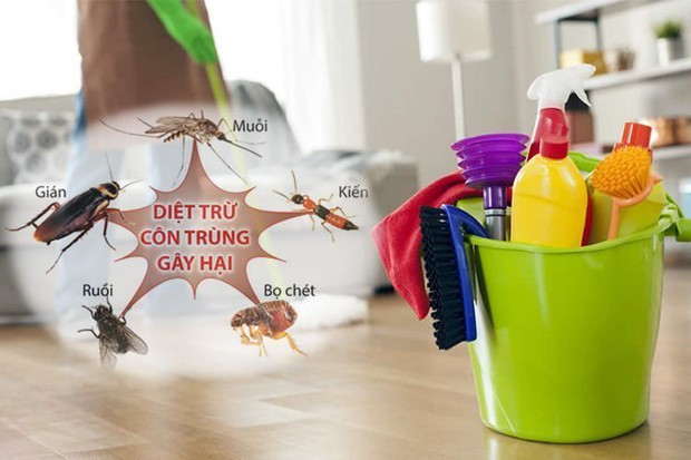 Sử dụng loạt mẹo nhỏ này, đảm bảo nhà bạn vừa thơm lại không còn bóng dáng côn trùng - Ảnh 1.