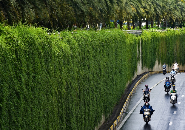 Cận cảnh bức tường xanh hiếm có giữa hầm chui ở Hà Nội giúp người dân giải nhiệt ngày nắng nóng - Ảnh 9.