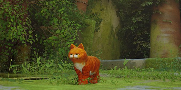 5 bản chỉnh sửa vui nhộn nhất dành cho Stray - Ảnh 5.