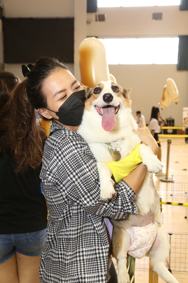 Lần đầu đi xem cuộc đua chó Corgi: “Tuyển thủ” tên Mèo vượt đối thủ giành chức vô địch, vài chú cún phải bỏ cuộc giữa chừng - Ảnh 6.