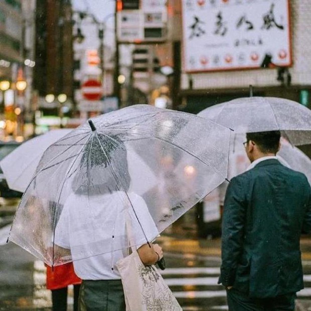 Chiếc ô trong suốt ở Nhật Bản: Trở thành vật quốc dân trong ngày mưa, là nét văn hóa không thể thiếu của đất nước mặt trời mọc - Ảnh 2.