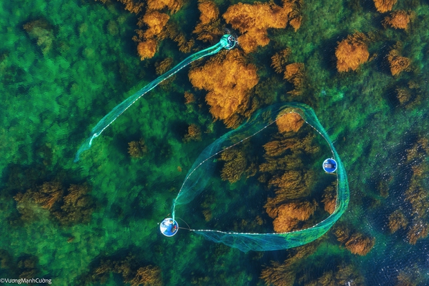 Hình ảnh ngư dân tung lưới đánh cá đầy ảo diệu ở Bình Định khiến ai cũng trầm trồ về cảnh sắc Việt Nam - Ảnh 9.