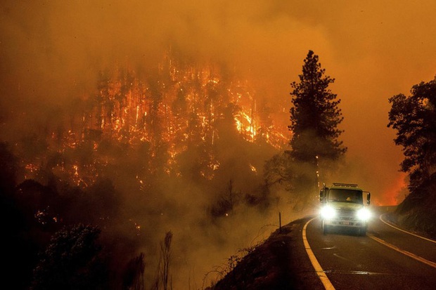 Trận cháy rừng lớn nhất năm ở California “tiêu diệt” hàng chục nghìn con cá - Ảnh 1.