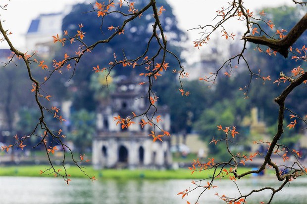 5 nơi đẹp nhất vào mùa thu ở Việt Nam: Địa danh cuối cùng các cặp đôi không nên bỏ lỡ - Ảnh 3.