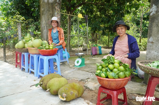 Về làng Đại Bình chơi lễ hội, thưởng thức trái cây miệt vườn bên sông Thu Bồn - Ảnh 4.