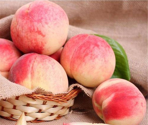 Cách chọn đào đực, quả nhiều thịt và mọng nước - Ảnh 3. Cách chọn đào đực, quả nhiều thịt và mọng nước - Ảnh 3.