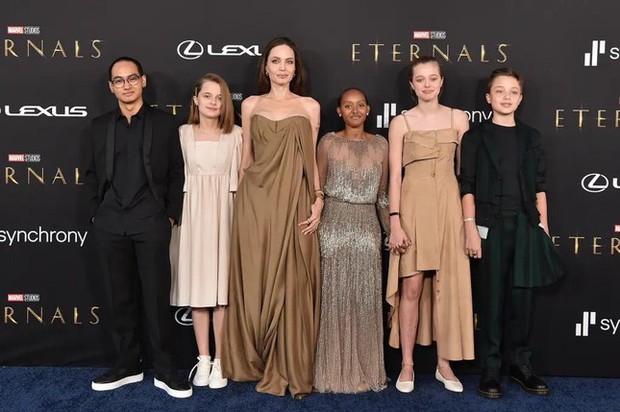 Lộ ảnh chụp thương tích của Angelina Jolie trong vụ xô xát với Brad Pitt trên máy bay - Ảnh 5.
