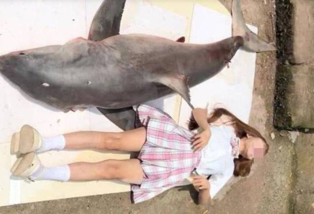 Trung Quốc: Vlogger bị điều tra vì ăn thịt cá mập trắng - Ảnh 1.