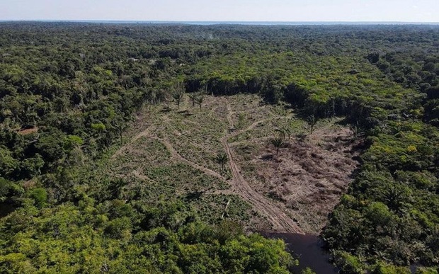 Cháy rừng Amazon nghiêm trọng nhất 15 năm qua - Ảnh 1.