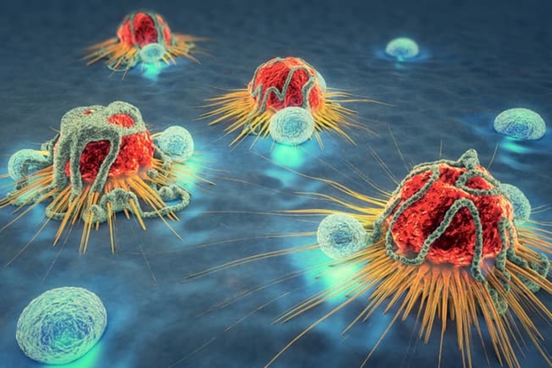 Những lợi ích không tưởng mà gừng có thể đem lại cho bạn - Ảnh 4.