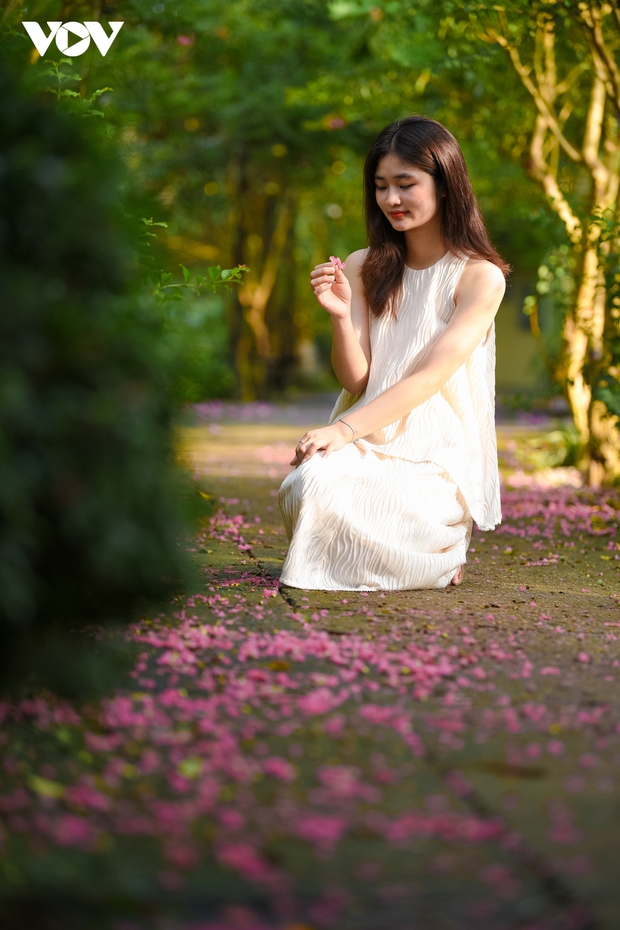 Mê mẩn con đường hoa tường vi đẹp như tranh tại Hà Nội - Ảnh 12. Mê mẩn con đường hoa tường vi đẹp như tranh tại Hà Nội - Ảnh 12.