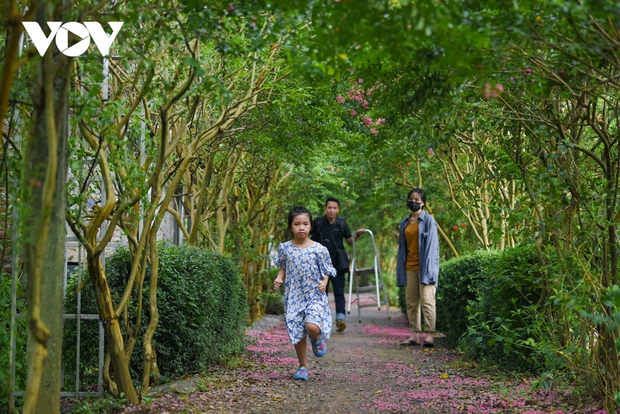 Mê mẩn con đường hoa tường vi đẹp như tranh tại Hà Nội - Ảnh 8. Mê mẩn con đường hoa tường vi đẹp như tranh tại Hà Nội - Ảnh 8.