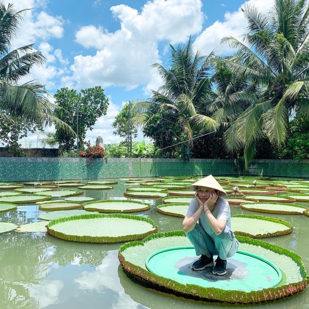 Ngôi chùa có hồ sen mọc lên từ hố bom, lá sen khổng lồ có thể đỡ được cả người - Ảnh 7. Ngôi chùa có hồ sen mọc lên từ hố bom, lá sen khổng lồ có thể đỡ được cả người - Ảnh 7.