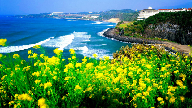 7 lý do vì sao Jeju là địa điểm tuyệt vời nhất để ghé thăm trong mùa thu - Ảnh 2. 7 lý do vì sao Jeju là địa điểm tuyệt vời nhất để ghé thăm trong mùa thu - Ảnh 2.
