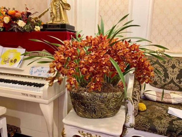 Ngoài căn nhà đang ở, Á hậu Thụy Vân còn làm được điều ai biết cũng nể phục - Ảnh 8. Ngoài căn nhà đang ở, Á hậu Thụy Vân còn làm được điều ai biết cũng nể phục - Ảnh 8.