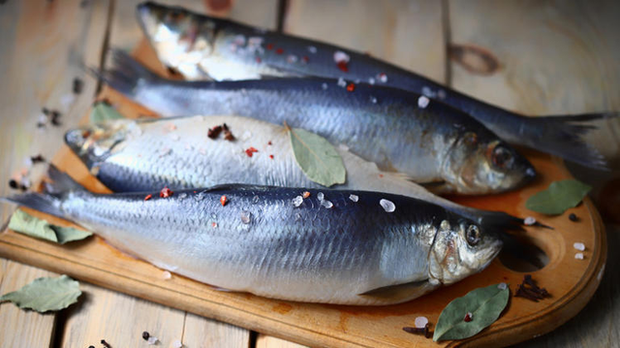 Những loại cá này có hàm lượng axit béo omega-3 cao nhất - Ảnh 4.