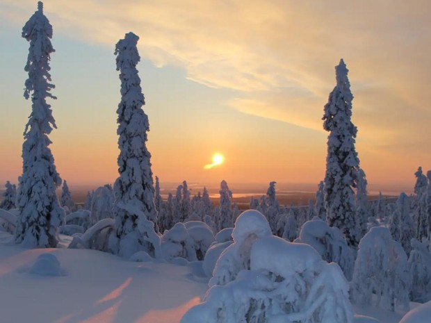Cuộc thi ôm cây kỳ lạ ở Phần Lan - nơi con người được chữa lành bằng những cái ôm thiên nhiên vào lòng - Ảnh 4.