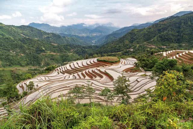 Khách Tây đi tìm cánh đồng lúa đẹp nhất Việt Nam: Chặng đường dài nhưng quá xứng đáng - Ảnh 9.