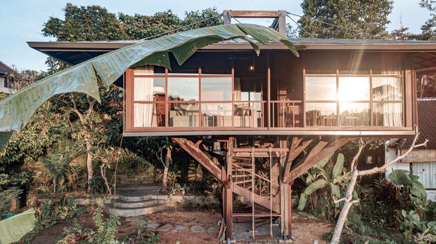 Ngôi nhà gỗ hình cái cây độc đáo ở Bali - Ảnh 1. Ngôi nhà gỗ hình cái cây độc đáo ở Bali - Ảnh 1.
