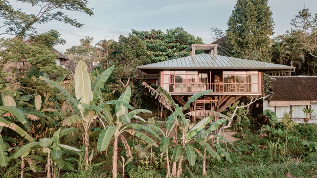 Ngôi nhà gỗ hình cái cây độc đáo ở Bali - Ảnh 10. Ngôi nhà gỗ hình cái cây độc đáo ở Bali - Ảnh 10.