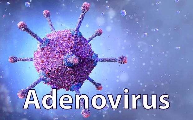 6 trường hợp tử vong vì nhiễm Adenovirus: BS khuyến cáo dấu hiệu nhận biết và việc cần làm để phòng bệnh - Ảnh 1.
