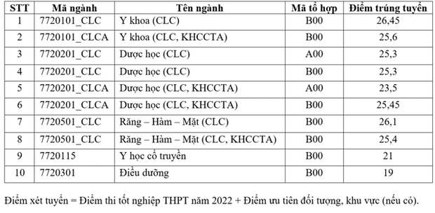 Điểm chuẩn các trường khối Đại học Quốc gia TP.HCM năm 2022 - Ảnh 8.
