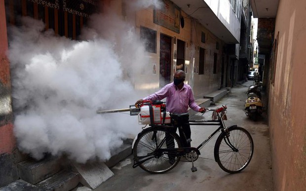 New Delhi khốn khổ đối phó với giặc muỗi - Ảnh 3.